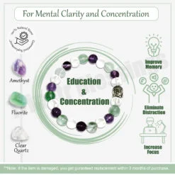 Education & Concentration