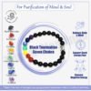 Seven chakras with Black Tourmaline