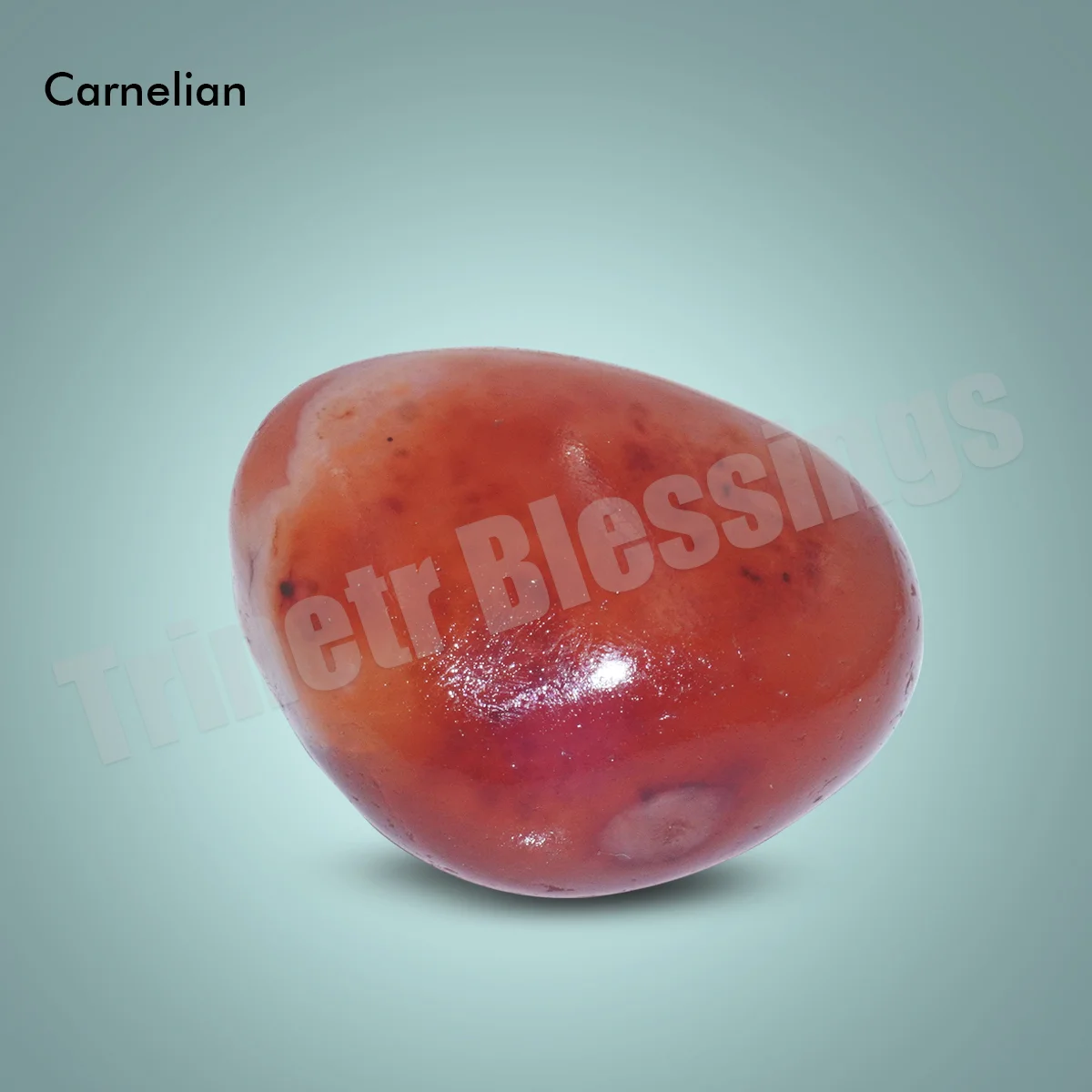 Education and Concentration Tumble Kit - Image 6