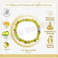Balanced Emotion & Selfless Service