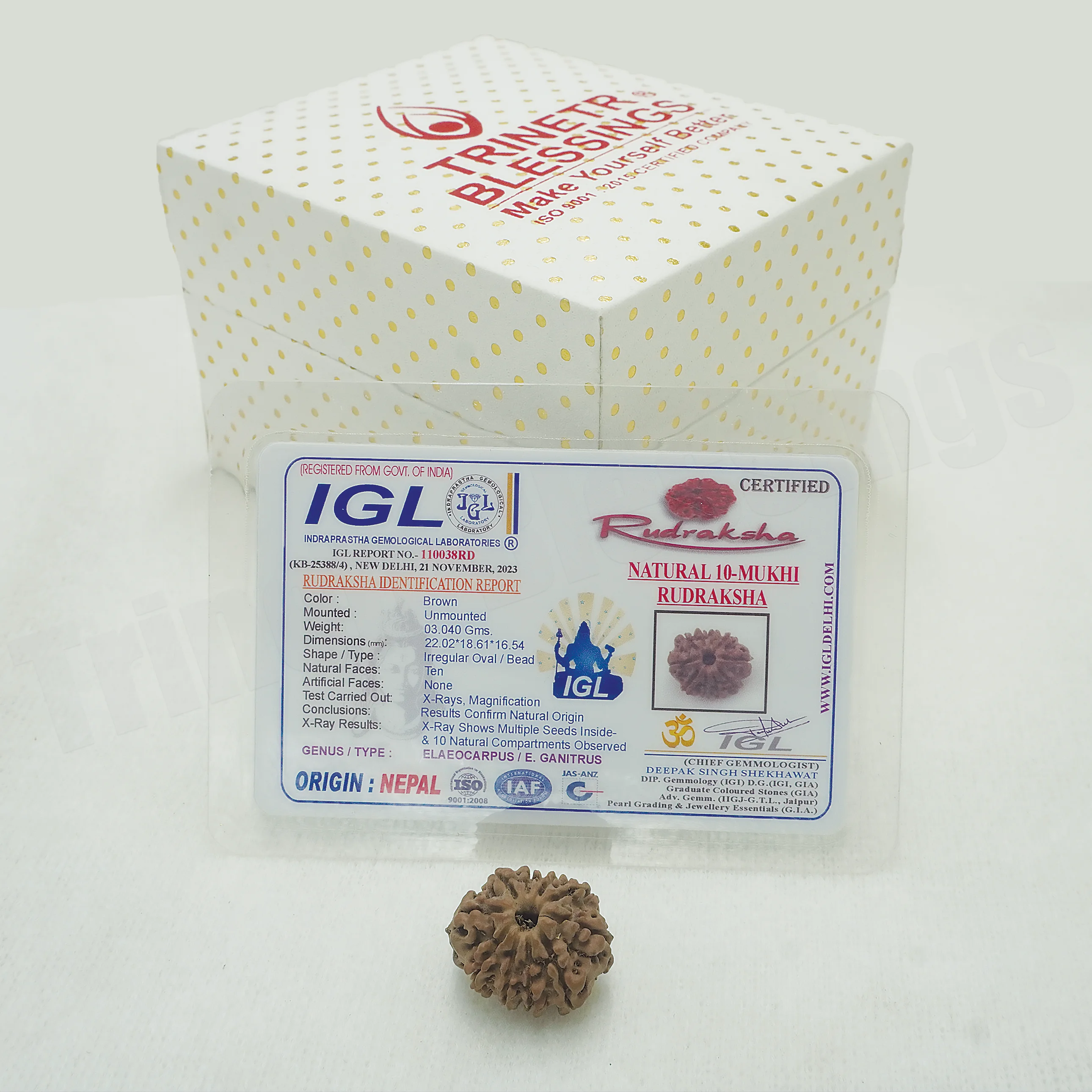 Ten Mukhi Rudraksha - Image 3