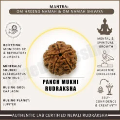 Five Mukhi Rudraksha