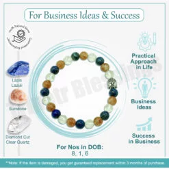 Business Ideas & Success